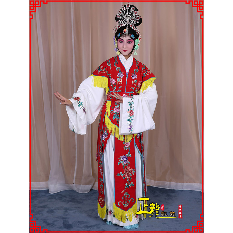 兰州戏曲服装舞台演出红娘装